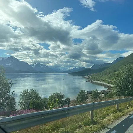 Tromso, Lyngen, Aurora Borealis, Ski, Fishing * ترومسو