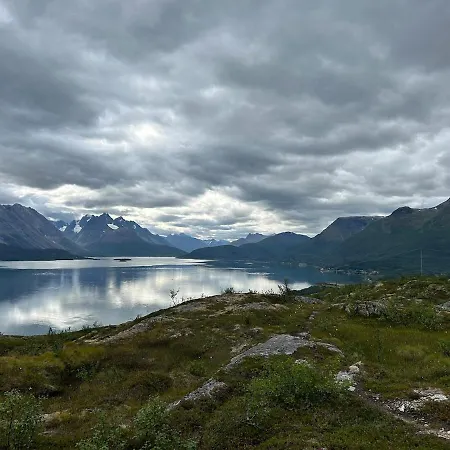 Tromso, Lyngen, Aurora Borealis, Ski, Fishing *