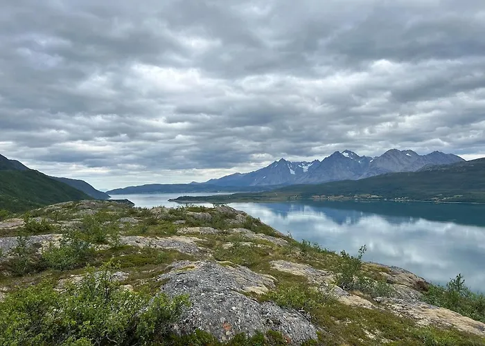 Tromso, Lyngen, Aurora Borealis, Ski, Fishing Apartment *